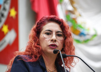 Exige diputada Eva Diego en Legislativo a gobiernos federal y estatal dotar de insumos al Hospital General