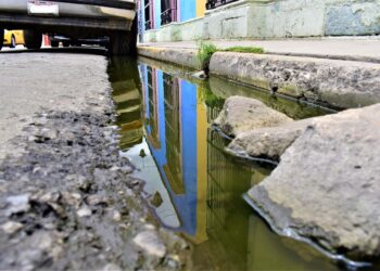 Exhortan SSO eliminar criaderos de mosquitos en casa, para prevenir el dengue, zika y chikungunya