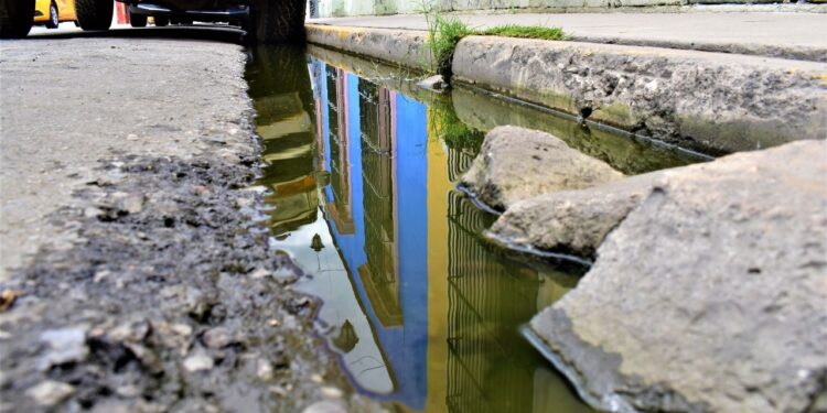 Exhortan SSO eliminar criaderos de mosquitos en casa, para prevenir el dengue, zika y chikungunya