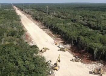 Elevan denuncias contra el Tren Maya en instancia ambiental del T-MEC