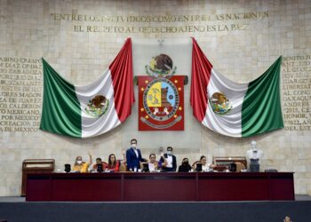 Debe Secretaría de Bienestar informar a Congreso destino de 150 mdp destinados para afectados por Covid-19