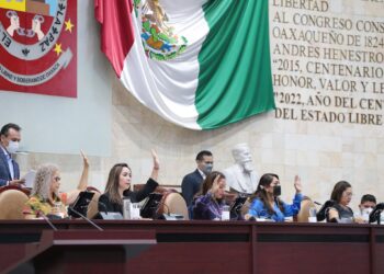Piden difundir la despenalización del aborto en Oaxaca