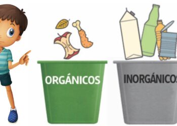 Exhorta SSO fomentar hábitos responsables para cuidar el medio ambiente