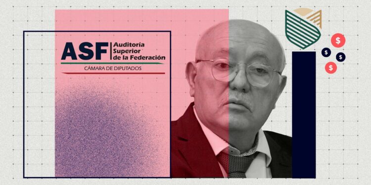 HERMANO DEL AUDITOR SUPERIOR TRABAJÓ EN SEGALMEX MIENTRAS SE AUDITABA DESVÍO MULTIMILLONARIO