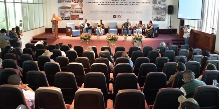 Impulsan foros ciudadanos para crear ley de protección al maguey en Oaxaca