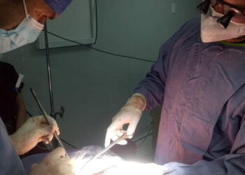 94 personas en Oaxaca, esperan un trasplante de órgano o tejido