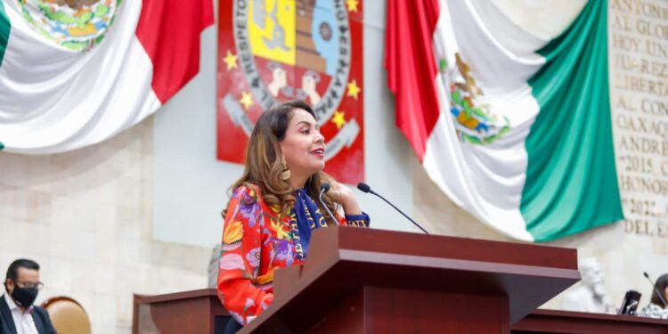 Impulsa Mariana Benítez reformas&nbsp;en materia de seguridad eléctrica en beneficio de las y los oaxaqueños