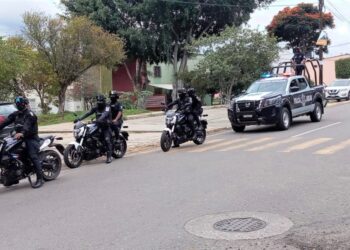 30 personas detenidas por la SSPO durante acciones de seguridad: Dalia Baños Noyola