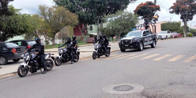 30 personas detenidas por la SSPO durante acciones de seguridad: Dalia Baños Noyola