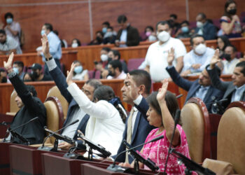 Legisla Congreso contra la violencia digital y obstétrica hacia las mujeres