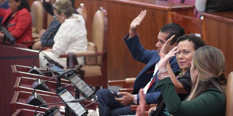 Para obtener licencia de conducir será obligatorio ser capacitado en perspectiva de género