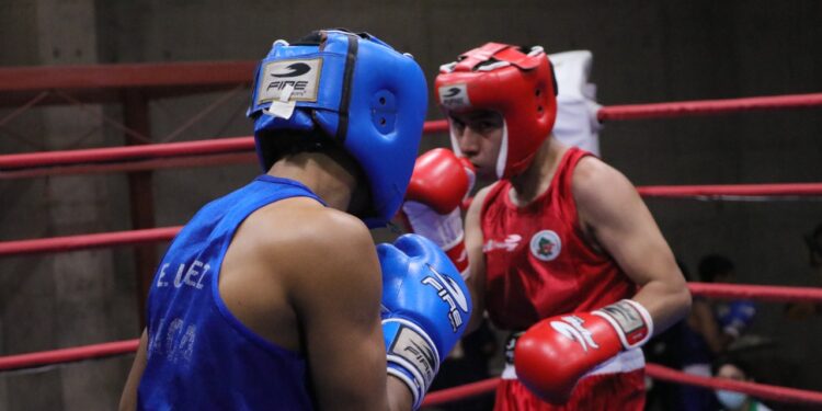 Fin de semana de actividad boxística con el Estatal Abierto 2022