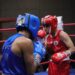 Fin de semana de actividad boxística con el Estatal Abierto 2022
