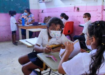 ¿Por qué el nuevo plan de estudios está destinado al fracaso? Esto explican especialistas