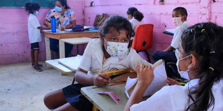 ¿Por qué el nuevo plan de estudios está destinado al fracaso? Esto explican especialistas