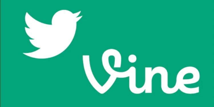 Así era Vine, la herramienta de videos de Twitter que Elon Musk quiere revivir