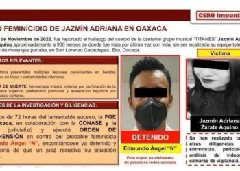 Tras arduo trabajo de inteligencia, FGEO logra la aprehensión&nbsp;de probable feminicida de San Lorenzo Cacaotepec