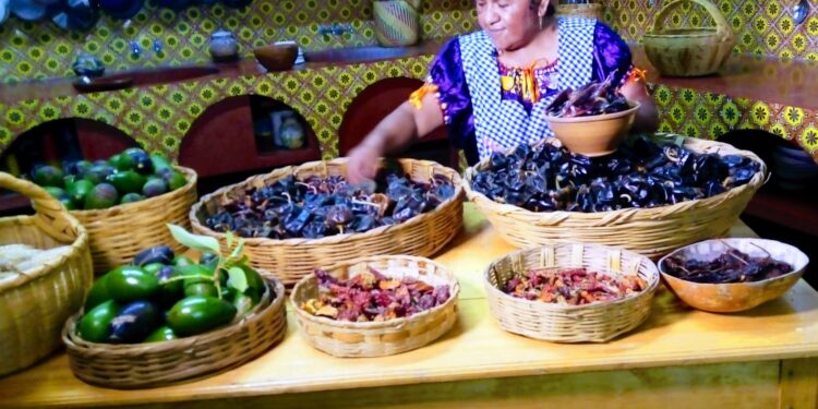 Celebra el Día Nacional de la Gastronomía Mexicana con la cocina de Oaxaca, crisol de sabores y herencia cultural de sus pueblos