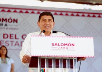 Salud y medio ambiente estarán en manos de mujeres con experiencia y capacidad