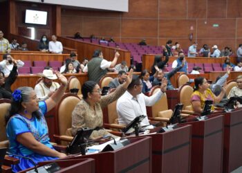 Pide Congreso intensificar campañas de fumigación para combatir dengue, zika y chikungunya en el estado