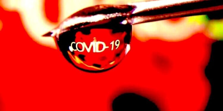 Del 11 al 15 de diciembre suma SSO 196 casos nuevos de COVID-19&nbsp;