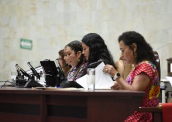 Adultos mayores que laboren, tendrán garantías en sus derechos: Congreso