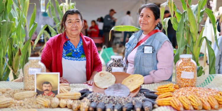 Gobierno de Oaxaca inicia combate de la pobreza alimentaria en 1.3 millones de personas