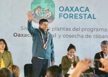 Pone en marcha Gobierno del Estado el programa «Oaxaca Forestal», sembrarán 200 mil hectáreas de plantas
