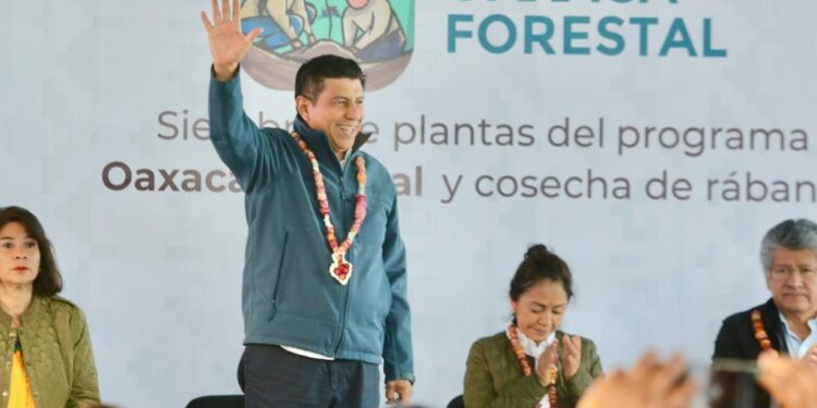 Pone en marcha Gobierno del Estado el programa «Oaxaca Forestal», sembrarán 200 mil hectáreas de plantas