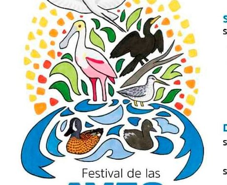 Refuerza Gobierno del Estado cultura del cuidado ambiental; realizará Festival de las Aves de Oaxaca