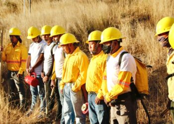 Inicia Gobierno del Estado trabajos de prevención de incendios forestales en Áreas Naturales Protegidas