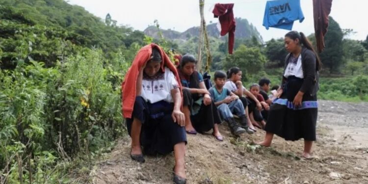 Casi 400,000 personas en México, desplazadas por la violencia