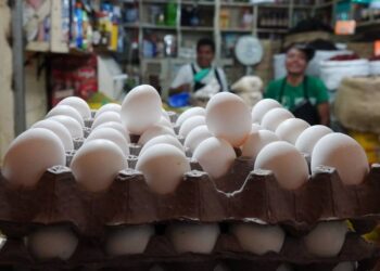 Cuesta de enero: Kilo de huevo llega a los 48 pesos y no para, ¿por qué?