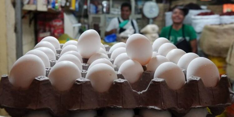 Cuesta de enero: Kilo de huevo llega a los 48 pesos y no para, ¿por qué?