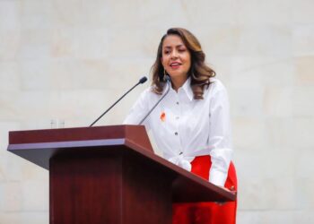 Solicita Presidenta de la Comisión de Mujeres e Igualdad de Género al Poder Judicial de Oaxaca investigar ilegalidades y vigilar proceso de impugnación en el caso de María Elena Ríos