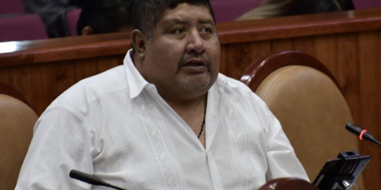 Se busca prevenir el abuso policial que afecta gravemente a la ciudadanía.