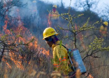 Gobierno de Oaxaca actúa para proteger la zona arqueológica de Yagul