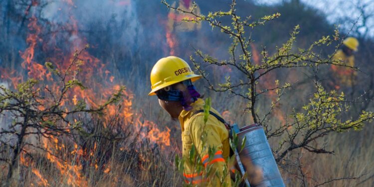 Gobierno de Oaxaca actúa para proteger la zona arqueológica de Yagul