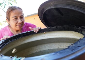 Llama SSO a sumar esfuerzos en los hogares para evitar enfermar de dengue