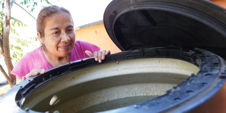 Llama SSO a sumar esfuerzos en los hogares para evitar enfermar de dengue