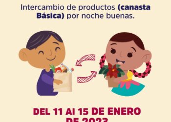 Más oaxaqueños se suman al canje de un kilo de ayuda por una planta de Nochebuena