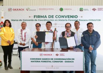 Suman esfuerzos Gobierno de Oaxaca y Conafor para conservar y proteger los recursos forestales