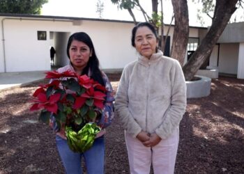 Invita DIF Oaxaca a canjear un producto de la canasta básica por una flor de Nochebuena en el Zócalo