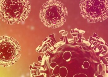 Notifica SSO 478 casos nuevos de COVID-19