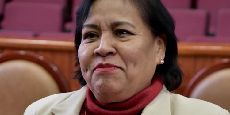 nvita diputada Lety Collado a encuentro de artesanas en la Plaza de la Danza&nbsp;