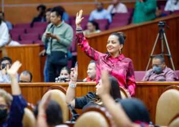 Urge Mariana Benítez fortalecer las Instancias Municipales de la Mujer en los 570 municipios y establecer una Red de Refugios Regionales