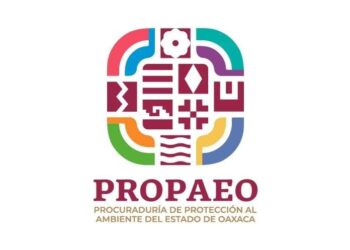 Presenta Procuraduría Ambiental de Oaxaca denuncias por derrame de hidrocarburos