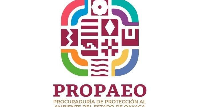 Presenta Procuraduría Ambiental de Oaxaca denuncias por derrame de hidrocarburos