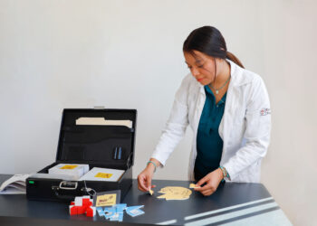 Testoteca Anáhuac Oaxaca, acervo único de pruebas psicológicas en el estado&nbsp;