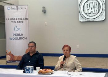 Nada que celebrar a 100 días de la llegada de la actual Administración, más pobreza, inseguridad, feminicidios: Perla Woolrich&nbsp;